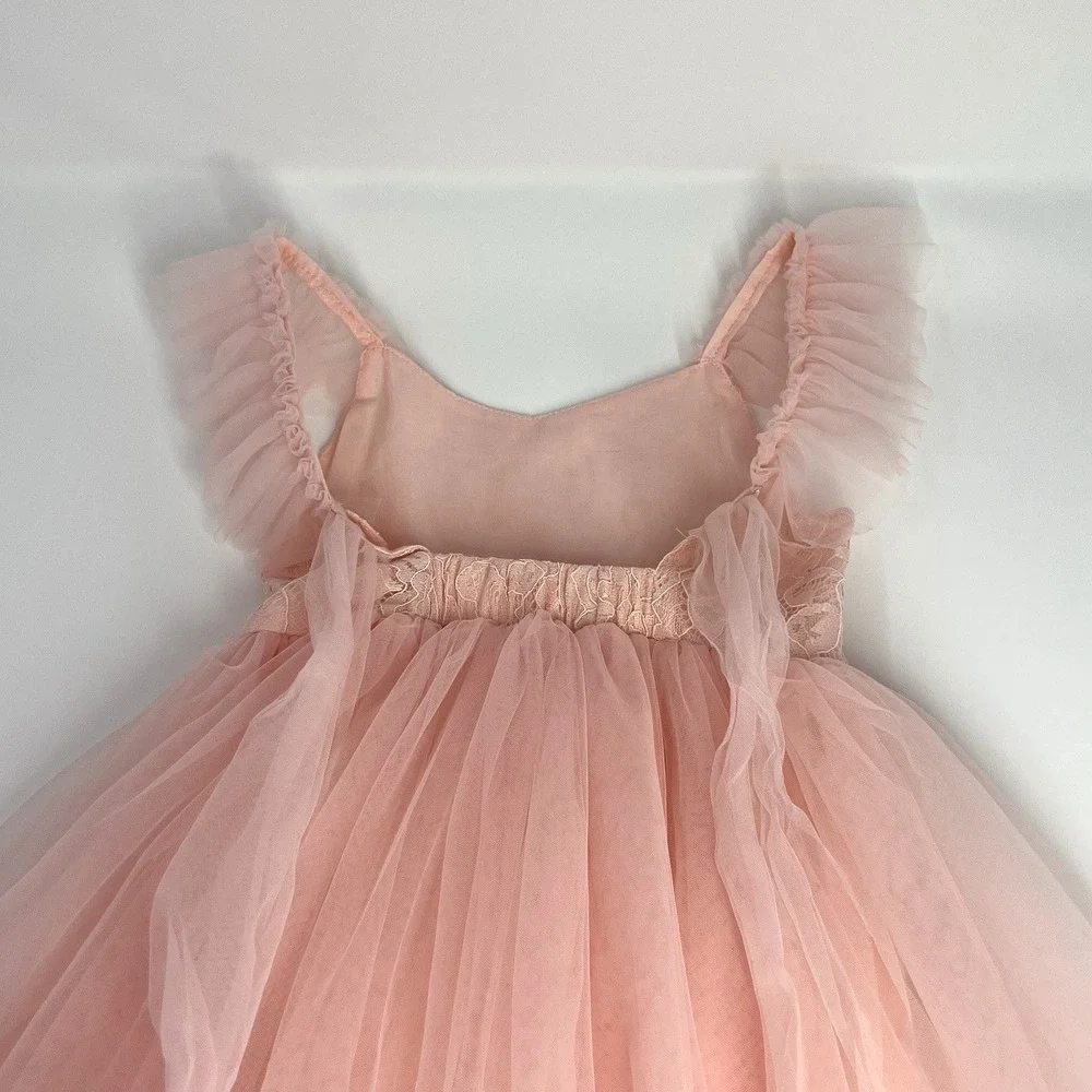 Child's Lace Tulle Tutu Dress 2T 3T Flower Girl Pageant Dress Ball Formal Gown